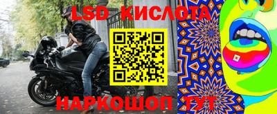 индика Рыбинск