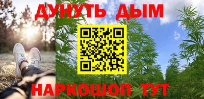 индика Рыбинск