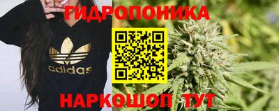 индика Рыбинск