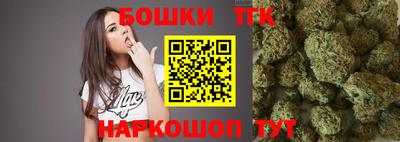 индика Рыбинск