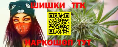 индика Рыбинск