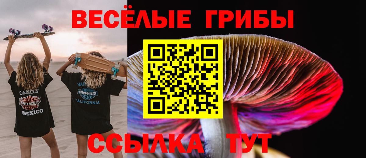 Галлюциногенные грибы Psilocybe  Вход с VPN  Унеча 